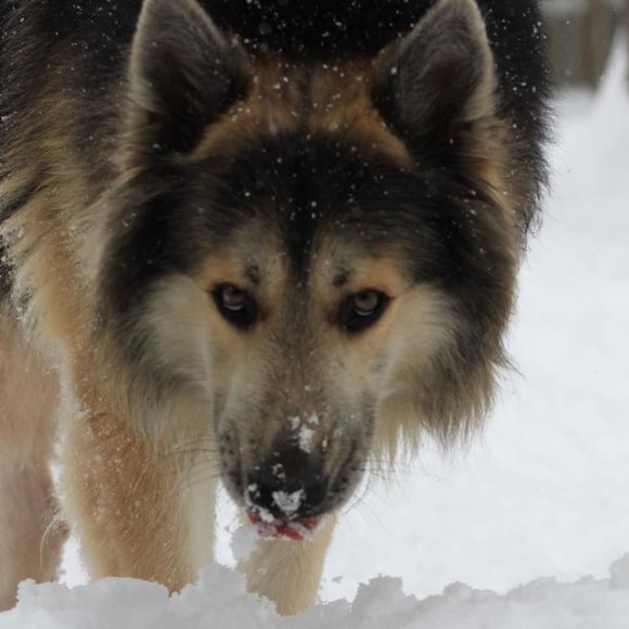 Meet your Posher, Jeff - Picture 1 of 1